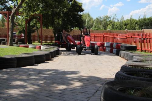 Peddal Cars 20